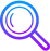 magnifier icon